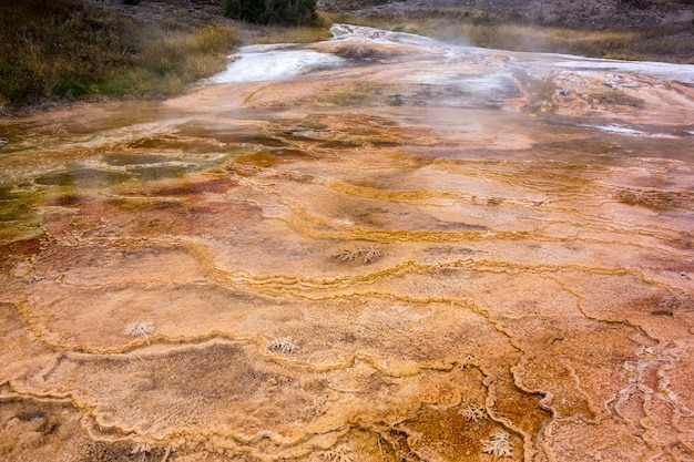 Foto mammoth hot springs