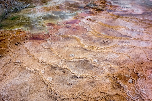 Mammoth Hot Springs