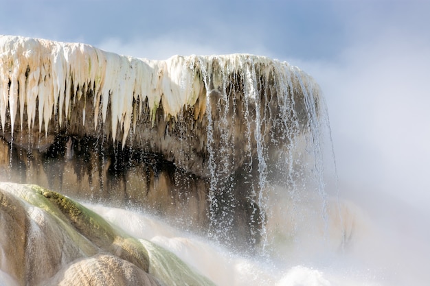 Mammoth Hot Springs