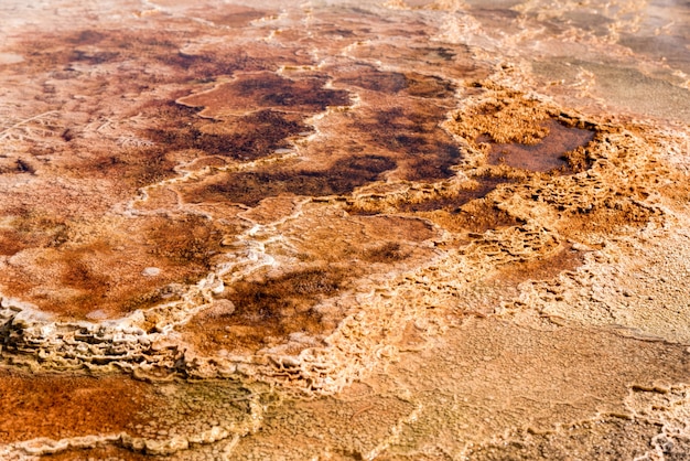 Foto mammoth hot springs