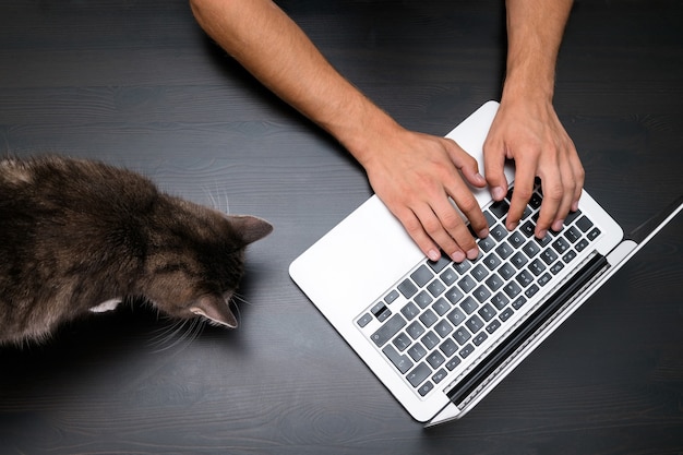 Man aan het werk in huisdiervriendelijke kantoor met kat met behulp van een laptopcomputer.