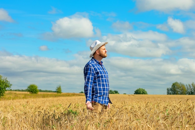 Man agronomist farmer in golden wheat field Male holds ears of wheat in hand