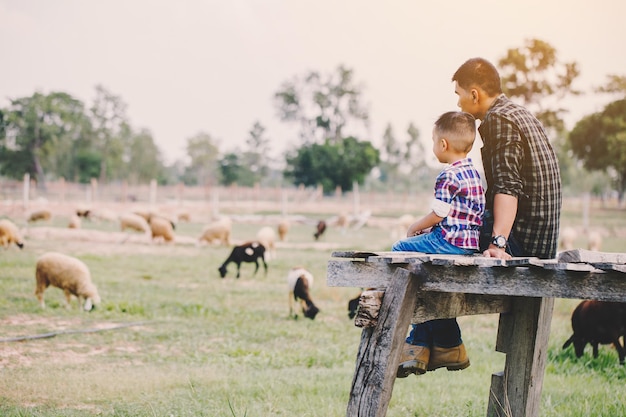 写真 空の向こうの草の上で羊を飼っている男と少年