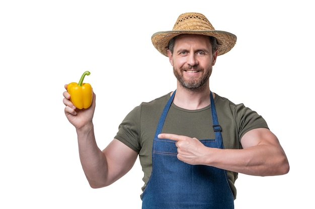 Man in apron and hat with sweet pepper vegetable isolated on white point finger