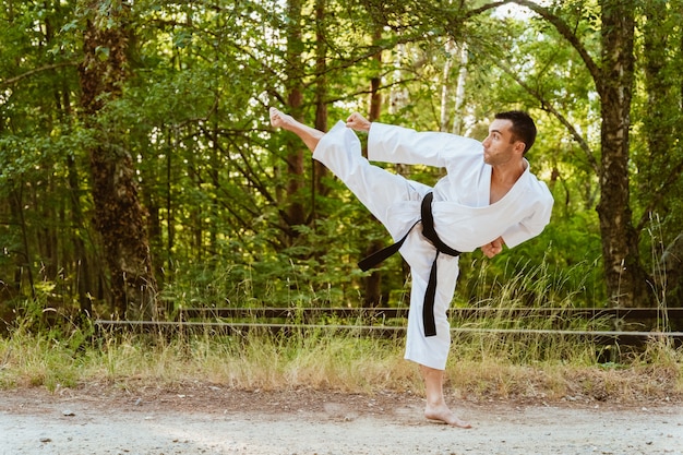 Man beoefenen van karate in de natuur