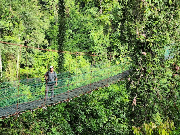 Man bij hangbrug in boomtopluifelpad in Danum-regenwoud Lahad datu Sabah Borneo