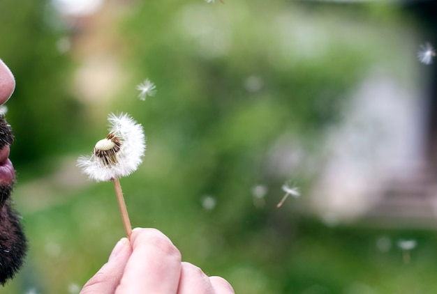 Uomo che soffia un dente di leone