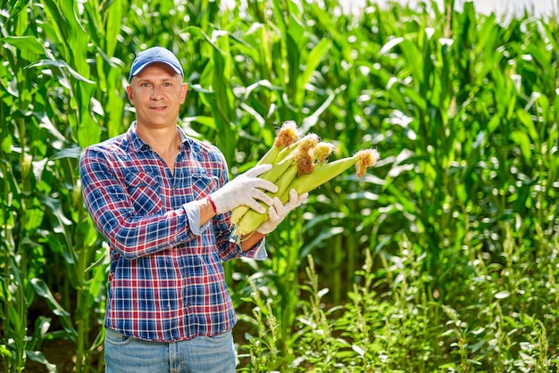 Man boer met een oogst van maïs.