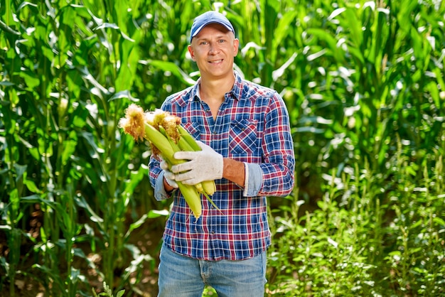 Man boer met een oogst van maïs.