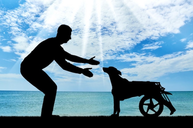 Man buiten aan zee roept om een verlamde hond in een rolstoel. Het concept van een hond in een rolstoel