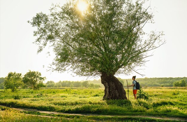 Man by old wilow tree on field