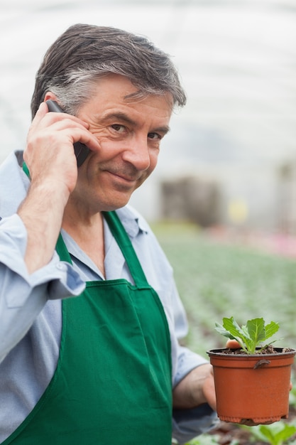 Man calling and holding a seedling working in a greenhouse