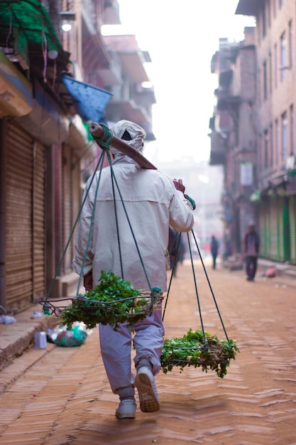 A man carries a cart of plants on a street.