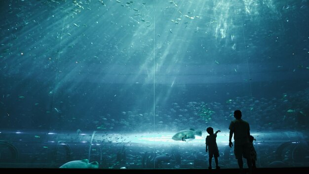 man and child watching and pointing at the vast aquarium