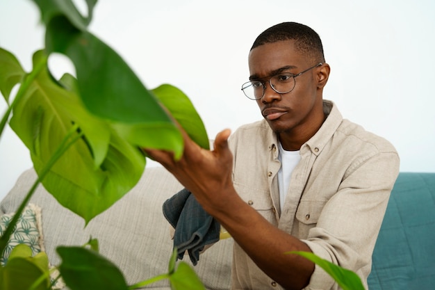 사진 남자 청소 식물의 잎 측면 보기