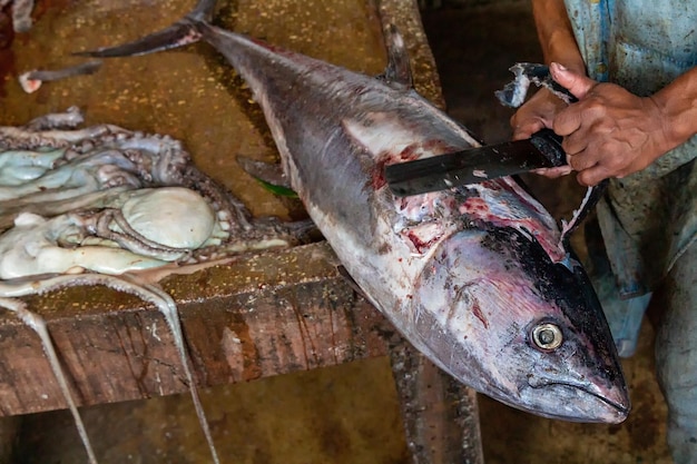 男は魚をきれいにします。ストーンシティの魚市場。ザンジバル。