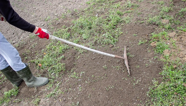 A man cleans weeds in the garden spring cleaning on the farm\
selective focus