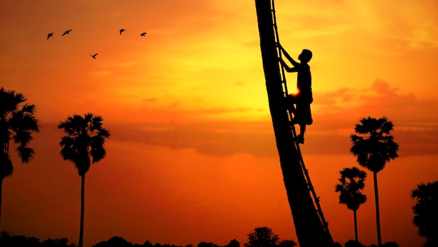 Man climbing a sugar palm tree to collect sap in the countryside