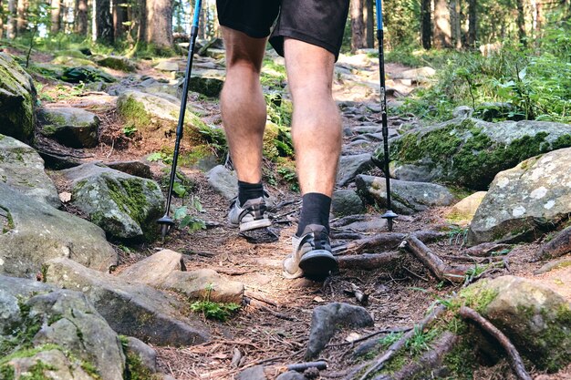 男は野外でスニーカーに登る。トレイルでのハイキングブーツの上面図。ジーンズのクローズアップレッグと山の森の岩石でのスポーツトレッキングシューズ。