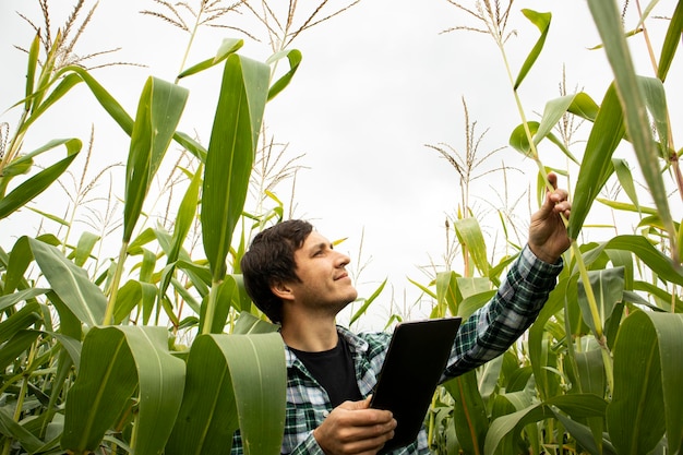 Photo man in  corn field with tablet