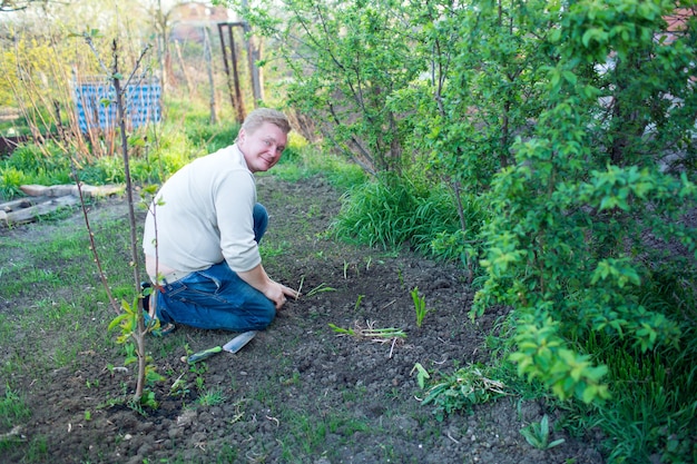 Man cultivates seedlings of tomatoes in the garden