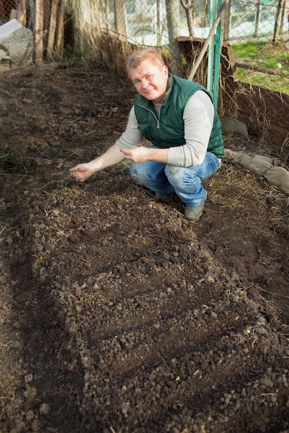 Man cultivates the seeds of radish, in the garden