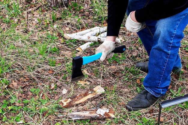 Un uomo taglia un'ascia con una betulla