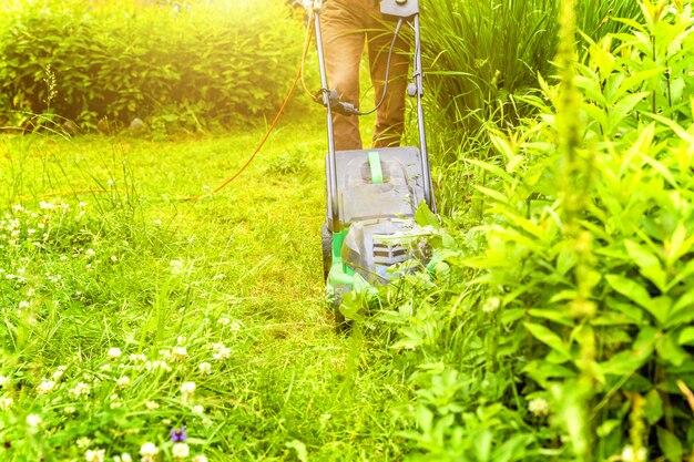 裏庭の芝刈り機で緑の草を切る男