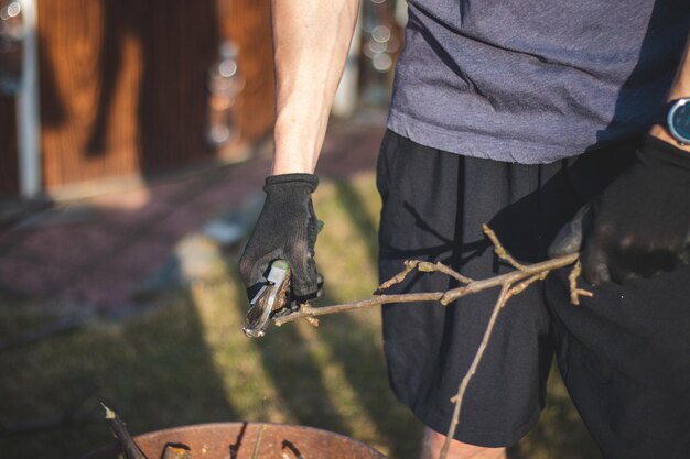 写真 植物の枝を切る男