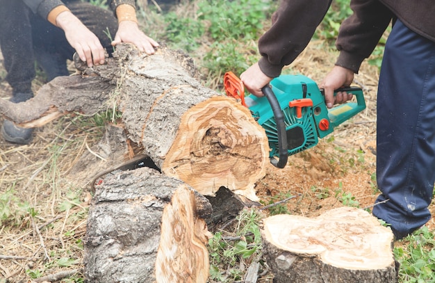 Man cutting wood with a chainsaw.