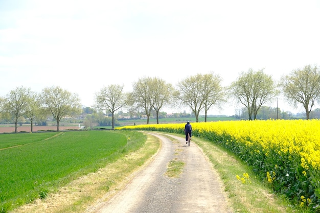 空を背景に畑の中の道路でサイクリングする男性
