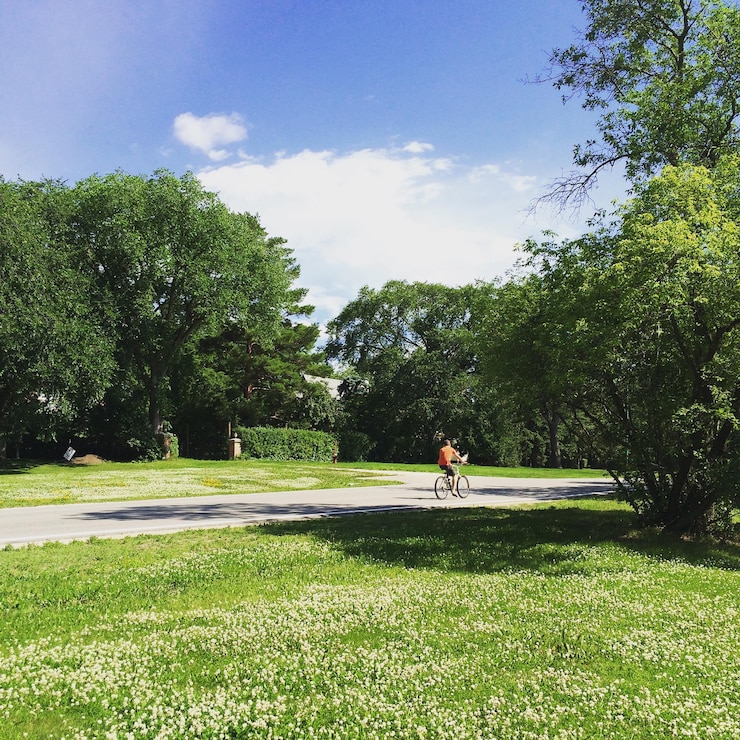 Photo 空の向こうにある公園の畑の木の間で道路を自転車で走っている男性