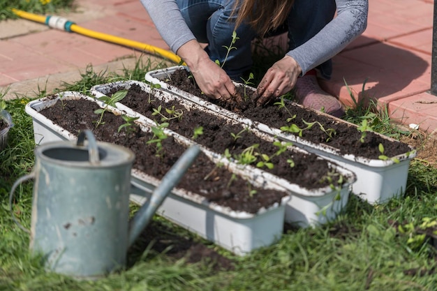 Foto man die aan planten werkt