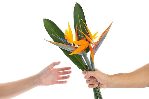 Man die bloemen van Valentijnsdag geschenk geeft aan zijn vriendin