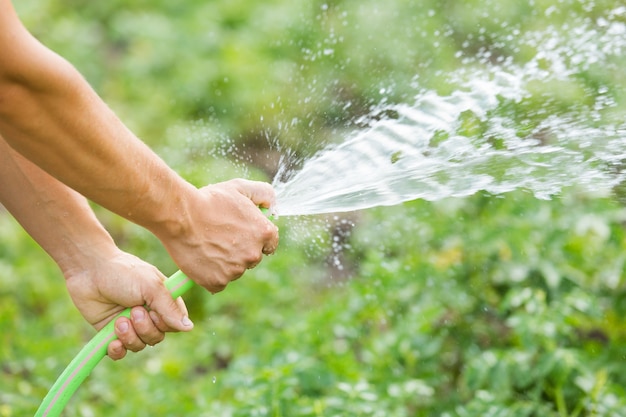 Man die de tuin op zonnige dag uit de slang water geeft