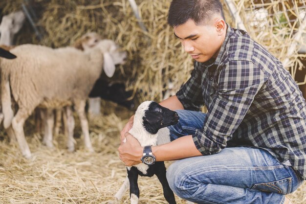 Foto man die met lammen en schapen kruipt