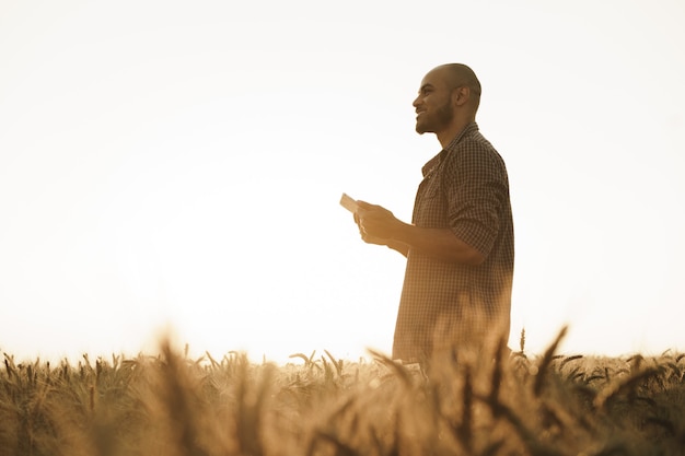 Man die smartphone gebruikt terwijl hij in een tarweveld staat bij zonsondergang