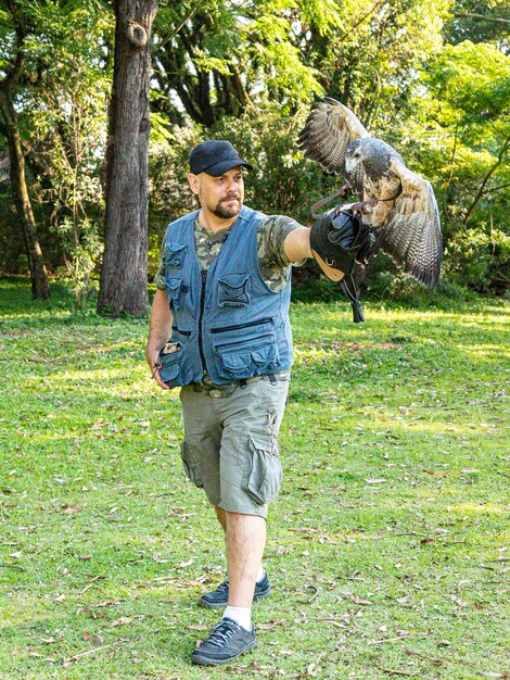 Man die valkerij beoefent met de buizerd met zwarte borst