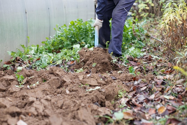 Мужчина копает землю лопатой в саду сельскохозяйственные работы осенние дворовые работы