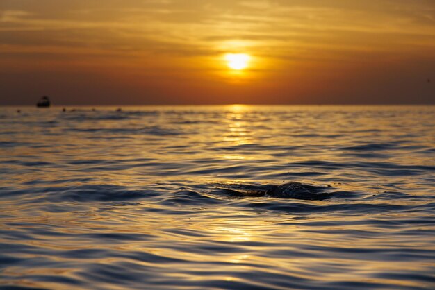 Photo a man dived into the sea at sunset