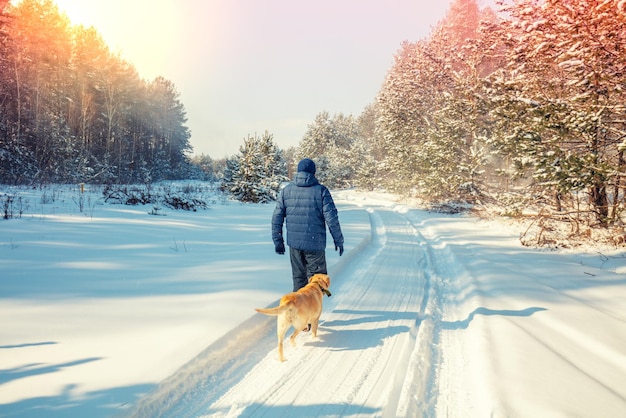 男と犬は親友です男と犬は雪に覆われた森の道を歩いています