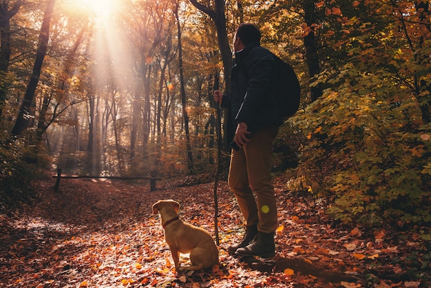 男と森の中の犬