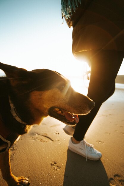 Photo man and dog looking at camera