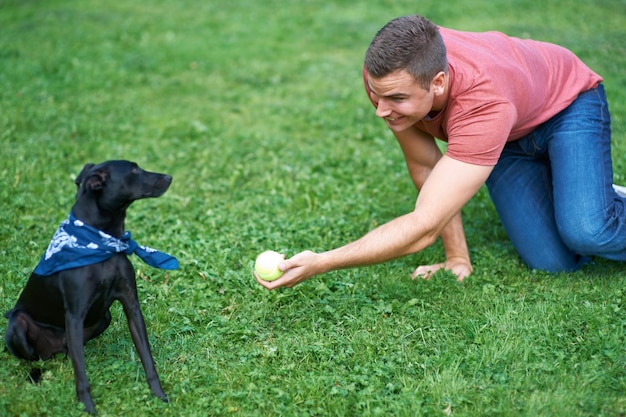 Foto uomo e cane giocano a palla sul campo d'erba per la connessione di legame parco all'aperto per l'addestramento sportivo persona maschio animale domestico e attrezzature divertenti per catturare lanciare in ambiente per l'amore cura o amicizia