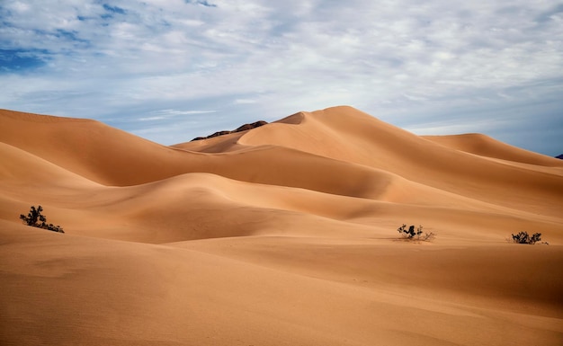 A man and a dog traveling across a desert plain in the distance