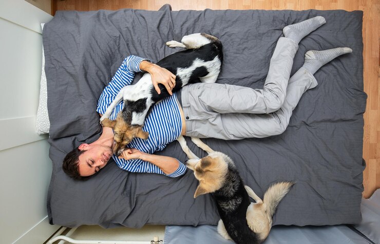 灰色のシートでベッドに横たわって男と犬
