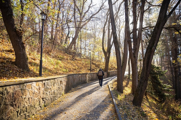 사진 공원에서 노르 킹을 하는 남자