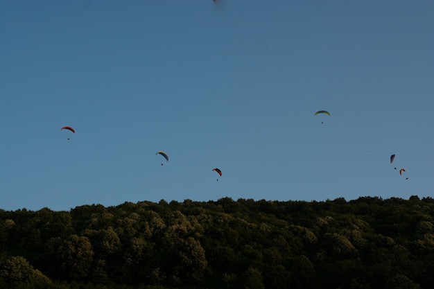 Man doing sport Paraglider in the sky