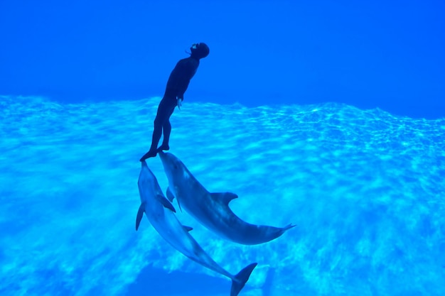 Foto uomo e delfini che nuotano in mare
