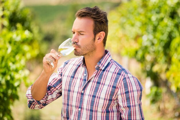 ワインを飲む男性